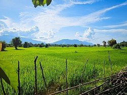 Nice 12km path surrounded by nature and small villages
