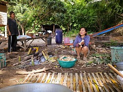 Local life
