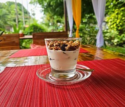 granola parfait