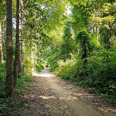 Loop on Don Daeng Island