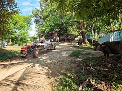 12km path, nature and small villages